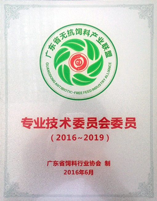 專(zhuān)業(yè)技術(shù)委員會(huì)委員