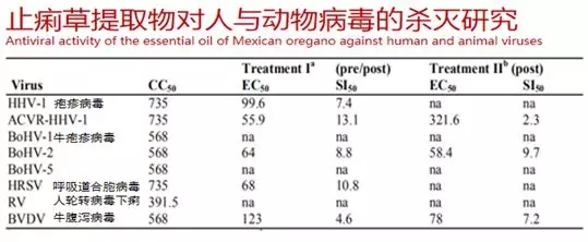 640.webp (1).jpg