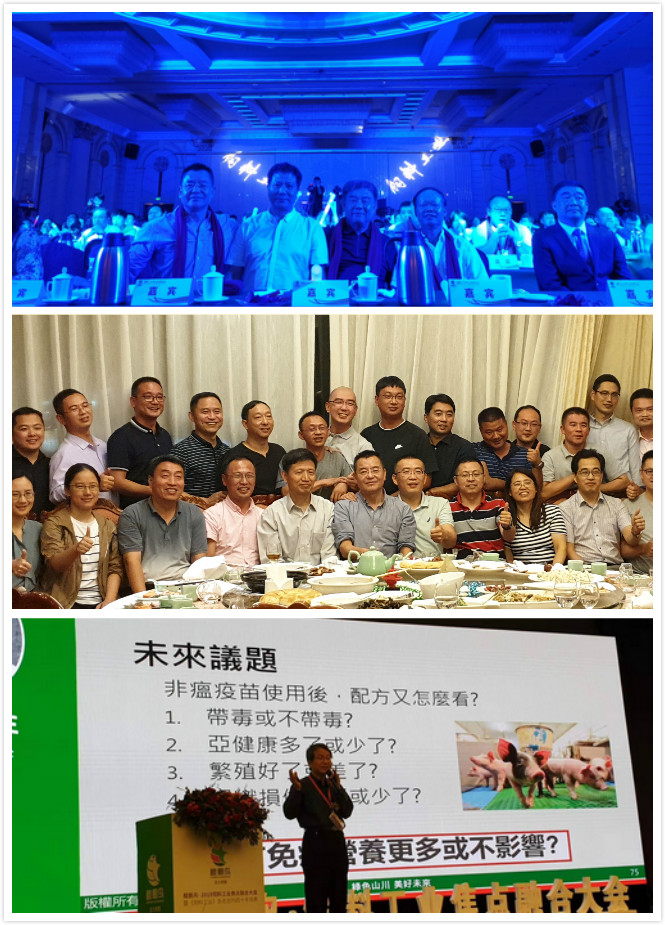 未命名_meitu_0-88.jpg