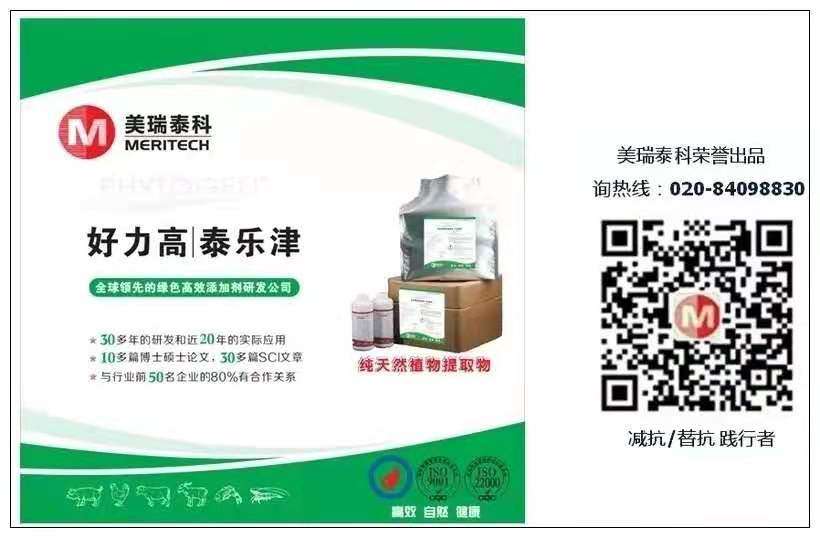 2.jpg 圖片
