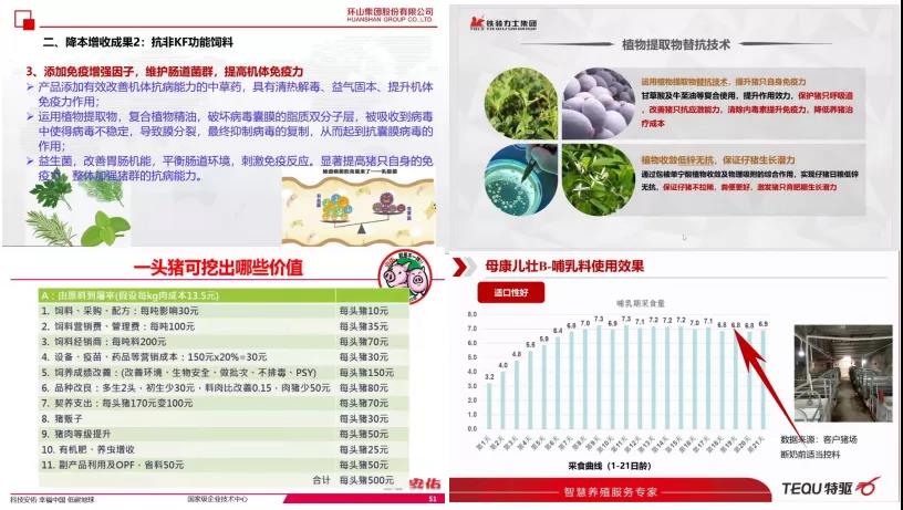 拼111.jpg 圖片