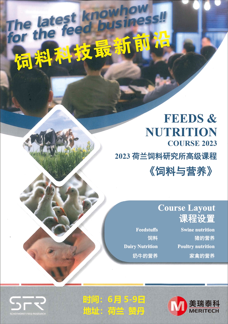 荷蘭學(xué)習(xí)1_副本.jpg 圖片